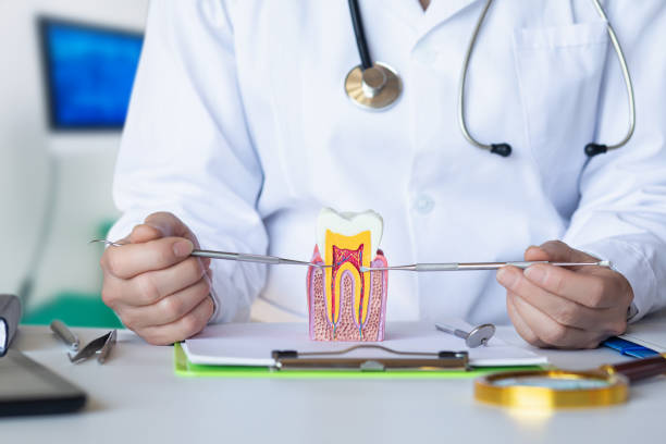 Best Emergency Dental Care for Abscessed Tooth in Concord, CA
